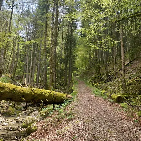 Bed & Breakfast D'hotes Le Moment *