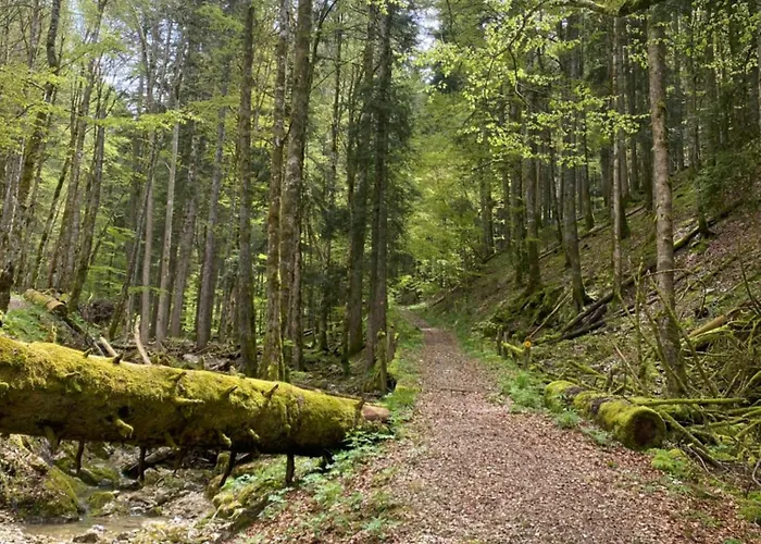 Bed & Breakfast D'hotes Le Moment *